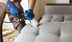 ofisis regularuli dalageba